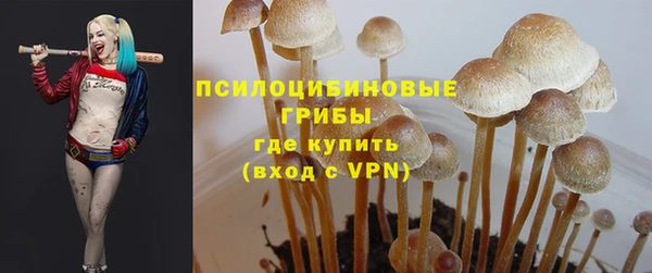 прущий лед Арсеньев