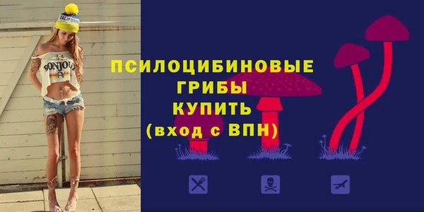 прущий лед Арсеньев
