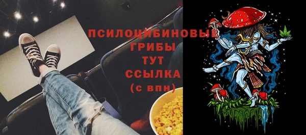 прущий лед Арсеньев